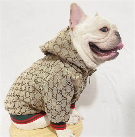 gucci accessories for dogs|designer dog coats Gucci.